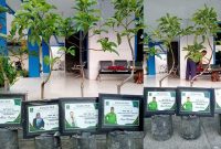Pohon buah dari Fraksi PKB DPRD Jombang