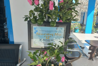 Pohon buah dari Dinas Lingkungan Hidup (DLH) Kabupaten  Jombang